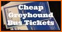 CheckMyBus – Compare and find cheap bus tickets related image