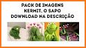 Kermit  Frog Stickers for Whatsapp related image