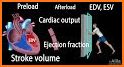 Cardiology-Animated Dictionary related image