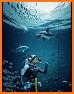 AI X series D DIVE related image