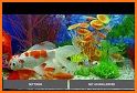 Aquarium Live Wallpaper related image