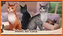 Cat Rescue Story: pets home related image