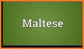 Maltese - Vietnamese Dictionary (Dic1) related image