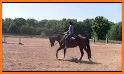 My AQHA Ride related image