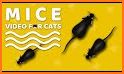 Mouse Chasing related image