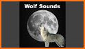 Wolf Sounds related image