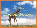 Jambo related image