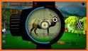 Deer Hunting Wild Animal Shooting Games 2021 related image