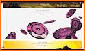 Ruby Fortune Online Casino related image