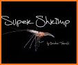 Super Shrimp related image