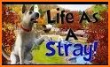 Runaway stray Dog Simulator : Dog Life Simulation related image