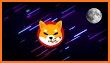 Baby Shiba - To The Moon related image