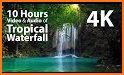 Forest Waterfall Live Wallpaper related image