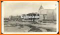 Galveston Digital Guide related image