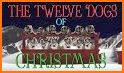 Xmas Dog WF by HuskyDEV related image