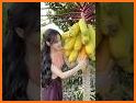 Catch The Fruits related image