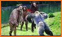 Animals vs Zombies related image