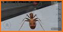 Ant Sim Tycoon related image