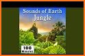 Jungle Sounds - Nature Sounds related image