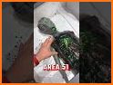 Find & Catch Alien UFO Games related image