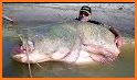 Huge Fish related image