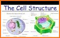 Cell Biology-101 related image