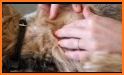 Banfield Pet Health Tracker related image