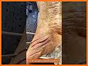 Charming likes related image