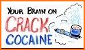 Brain Crack related image