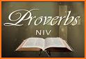 New International Version Holy Bible Audio NIV Pro related image