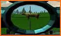 Wilderness Hunting：Shooting Prey Game related image