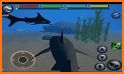 Shark Life - Animal Simulator related image