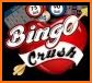 Bingo - Free Live Bingo related image