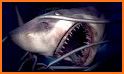 Swim Sharks In Cage VR Simulator related image