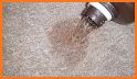 How To Clean Your Carpet Like A Pro   W. internet related image