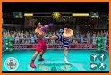 Ninja Punch Boxing Fighter Kung Fu Combat World related image