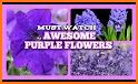 Flower Pot Violet Theme related image