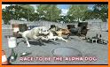 Wild Greyhound Dog Racing related image