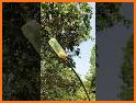 Catch The Fruits related image