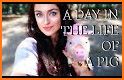 How to Take Care of a Pet Pig related image
