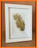 Feather Photo Frames related image