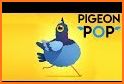 the pigeon pop related image