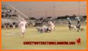Sweetwater Mustangs Athletics related image