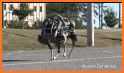 Real Robot Horse Battle:Wild Horse US Police Robot related image
