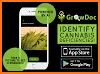 GrowDoc related image