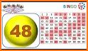 Bingo Number Generator related image