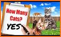 Cat Pet Rescue cat game related image