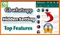 GB Wasahp Pro new Version 2021 - Hidden Chat related image