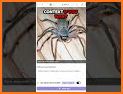 Spider Identifier App by Photo related image