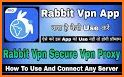 Bunny VPN - Secure VPN Proxy related image